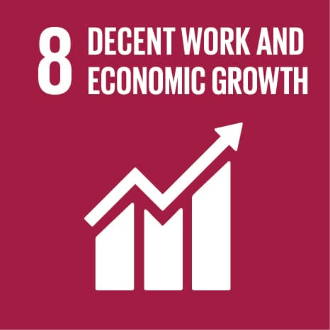 SDG 8: Decent Work and Economic Growth