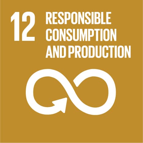 SDG 12: Producción y Consumo Responsables