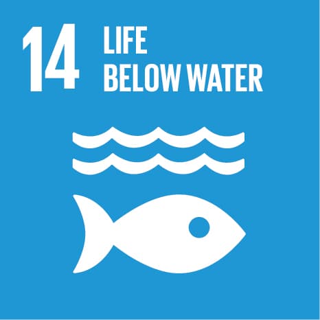 SDG 14: Vida Submarina