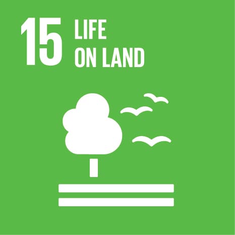 SDG 15: Vida de Ecosistemas Terrestres