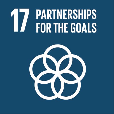 SDG 17: Partnerships for the Goals